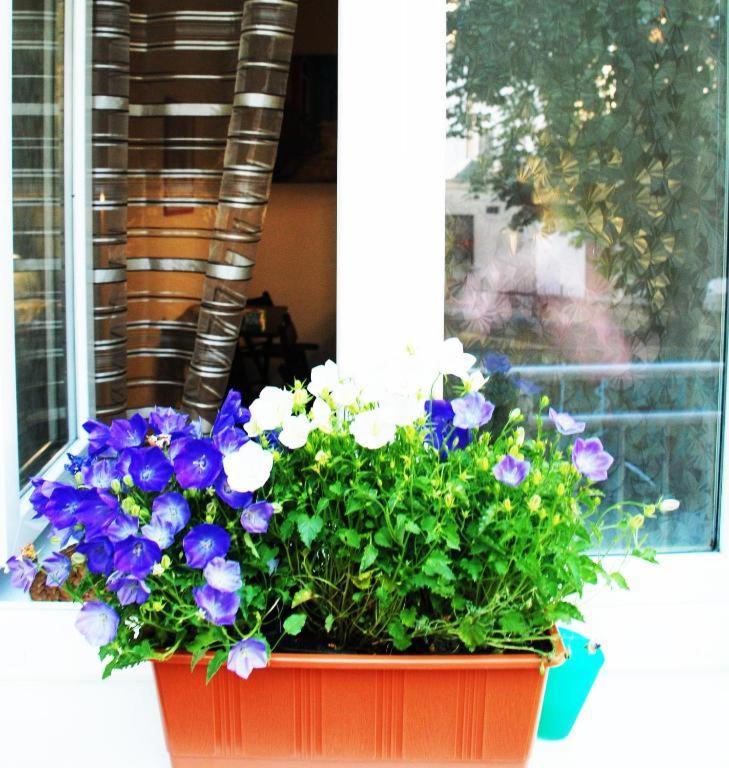 Apartment 5 Min By Walk To The Center Brno Luaran gambar